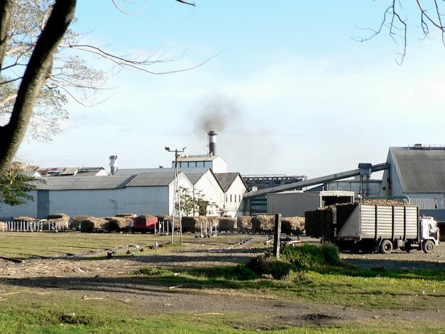 27- Les chariots de canne a sucre devant l'usine sucriere 